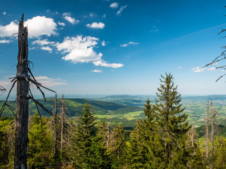 View from Mogielica Summit, Beskid Island Mountains, Poland