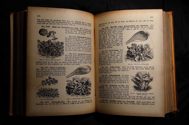 Cookbook, photo from the pixabay.com