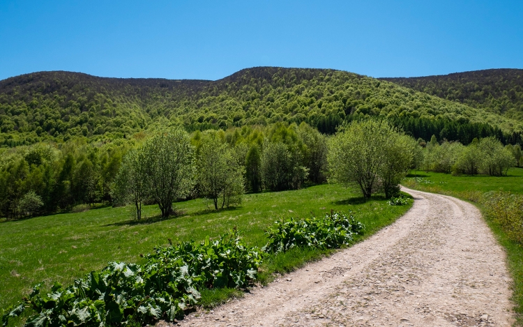 Road to the Small Rawka Summit in the Bieszczady Mountains, Poland